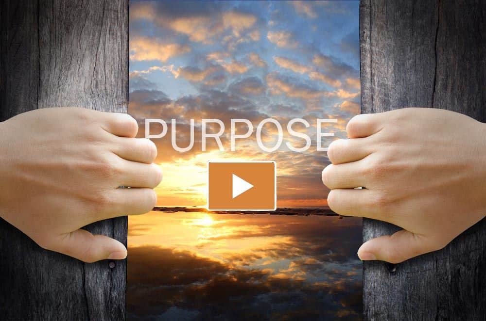 Purpose marketing the amazing impact - showing a sunrise and hands opening a curtain